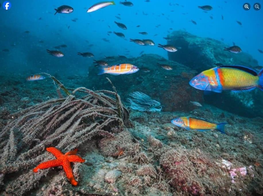 Appartamento Roquetas Costa Roquetas de Mar Esterno foto